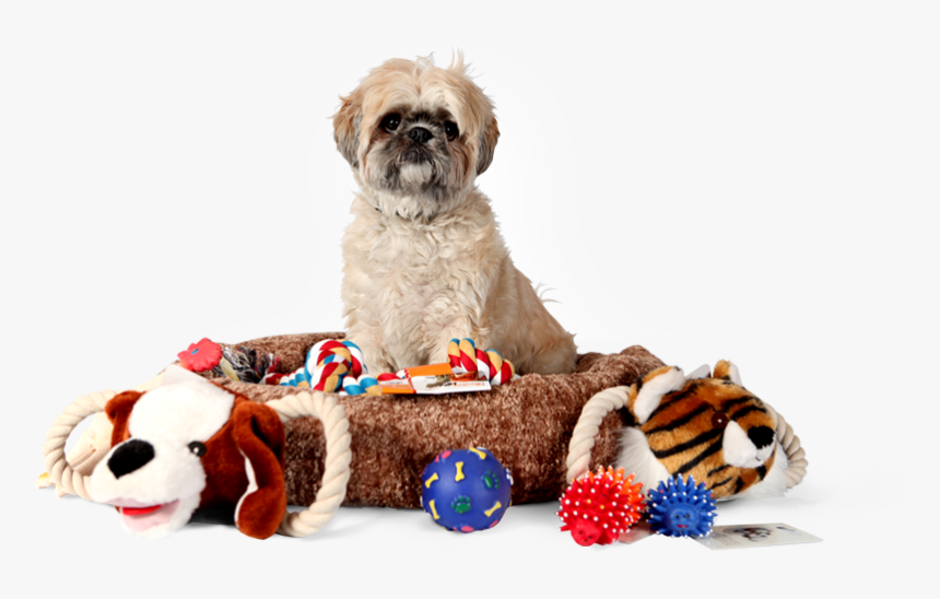 Pet supplies collection